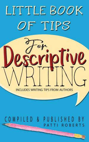 Book cover of Little Book Of Tips For Descriptive Writing