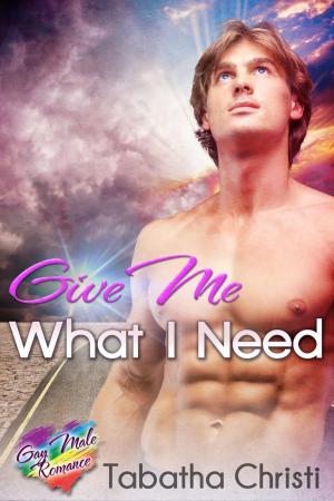 Cover of the book Give Me What I Need by Tabatha Christi