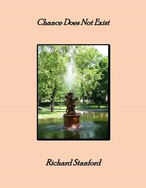 Cover of the book Chance Does Not Exist by Eduard Breimann