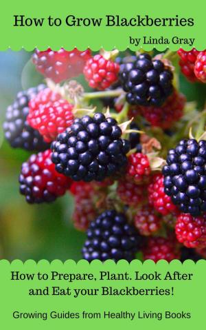 Cover of the book How to Grow Blackberries by Linda Gray