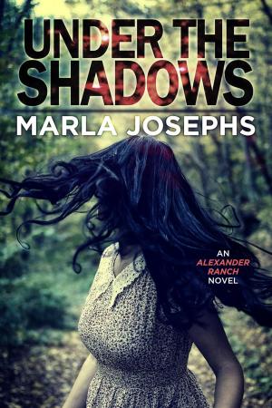 bigCover of the book Under The Shadows by 