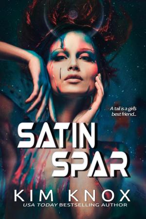bigCover of the book Satin Spar by 