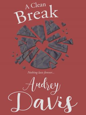 bigCover of the book A Clean Break by 