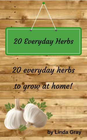 Book cover of 20 Everyday Herbs