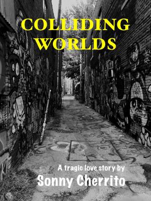 Cover of the book Colliding Worlds by Raye Morgan