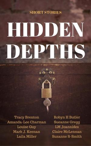 Cover of the book Hidden Depths by Vivienne Storm