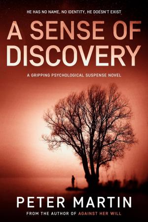 Book cover of A Sense of Discovery (A Psychological Suspense Novel)