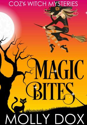 Cover of the book Magic Bites by J.S. Devivre