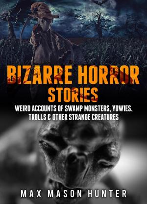 bigCover of the book Bizarre Horror Stories: Weird Accounts Of Swamp Monsters, Yowies, Trolls & Other Strange Creatures by 