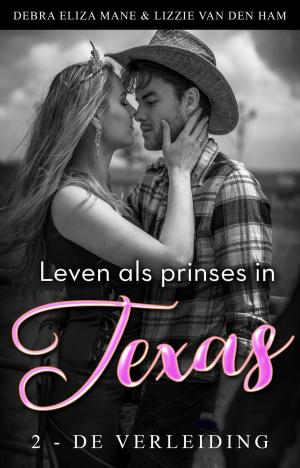 Book cover of Leven als prinses in Texas (2 - de verleiding)