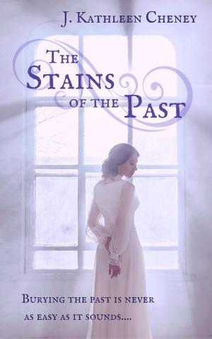 Book cover of The Stains of the Past