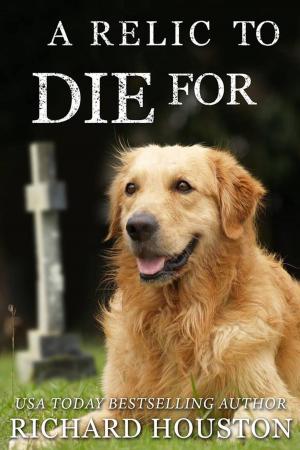 Cover of the book A Relic to Die For by Daryl Wood Gerber