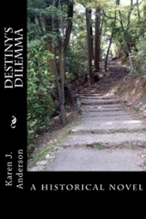 Cover of the book Destiny's Dilemma by J.J. Anderson