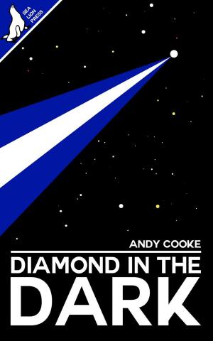 Cover of the book Diamond in the Dark by David Hoggard, Bob Mumby