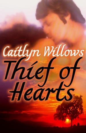 Cover of the book Thief of Hearts by Caitlyn Willows