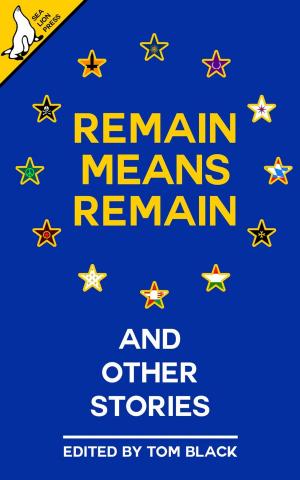 Book cover of Remain Means Remain (and other stories)