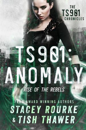 Cover of the book TS901: Anomaly by David Petersen
