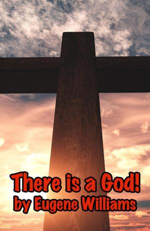 Cover of the book There is a God! by Maria Kvilhaug