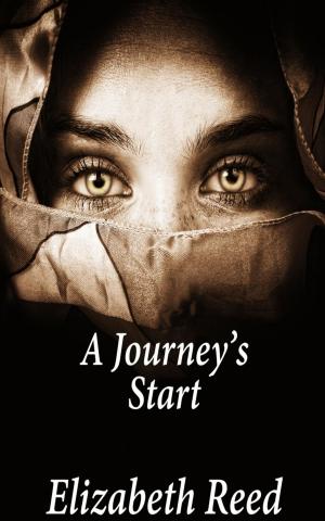 Cover of the book A Journey’s Start by Vanessa E Silver