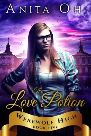 Book cover of The Love Potion