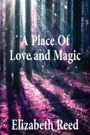 Cover of the book A Place Of Love And Magic by P. J. Kenny