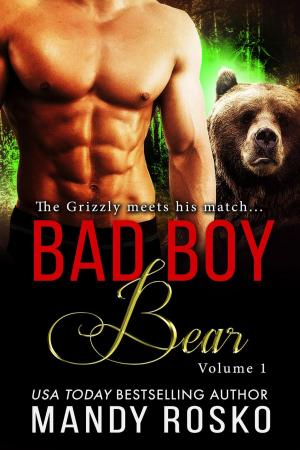 Cover of the book Bad Boy Bear Volume 1 by Kassandra Kush