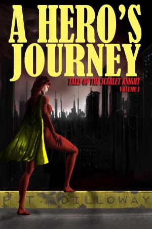 Cover of the book A Hero's Journey by PT Dilloway