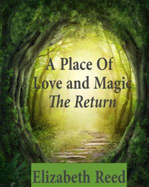 Cover of the book A Place Of Love And Magic: The Return by Vanessa E Silver