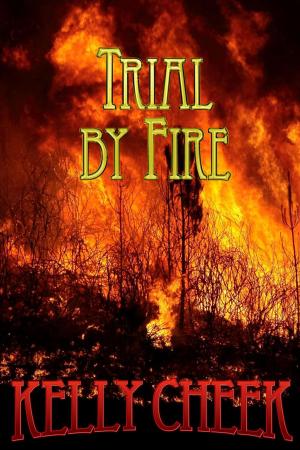 Cover of the book Trial by Fire by Cassandra Page
