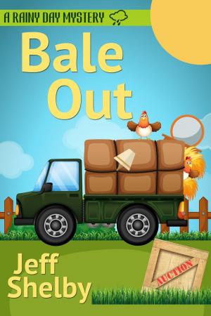 Cover of the book Bale Out by Bernd Teuber