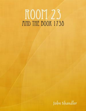 Cover of the book Room 23 by Kerry Rois