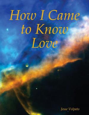 Cover of the book How I Came to Know Love by Kristy Vick