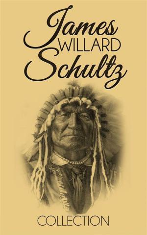 Book cover of James Willard Schultz Collection