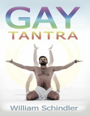 Cover of the book Gay Tantra by Bart Luirink, Madeleine Maurick
