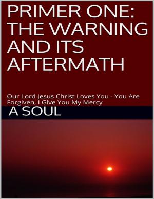 Cover of the book Primer One: The Warning and Its Aftermath – Our Lord Jesus Christ Loves You – You Are Forgiven, I Give You My Mercy by Sean Mosley