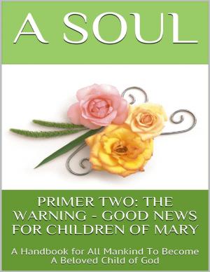 Cover of the book Primer Two: The Warning - Good News for Children of Mary: A Handbook for All Mankind to Become a Beloved Child of God by Douglas Christian Larsen