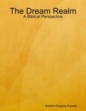 Cover of the book The Dream Realm: A Biblical Perspective by Jamie Lynn Miller