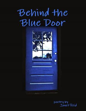 Cover of the book Behind the Blue Door by Rev Joseph Adebayo Awoyemi