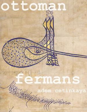 Cover of the book Ottoman Fermans by Andrew Grey