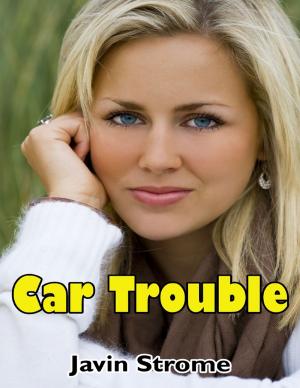 Cover of the book Car Trouble by Robert Riley