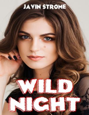 Cover of the book Wild Night by Kamal Al-Syyed