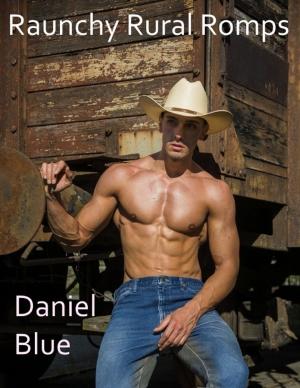 Cover of the book Raunchy Rural Romps by Dirk Jan Barreveld, editor