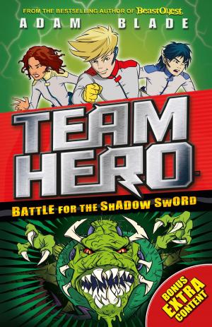 Book cover of Battle for the Shadow Sword