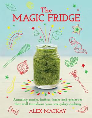 Cover of the book The Magic Fridge by Dr Madsen Pirie