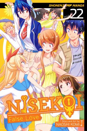 Book cover of Nisekoi: False Love, Vol. 22