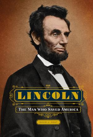 Cover of the book Lincoln by Jennifer Grace