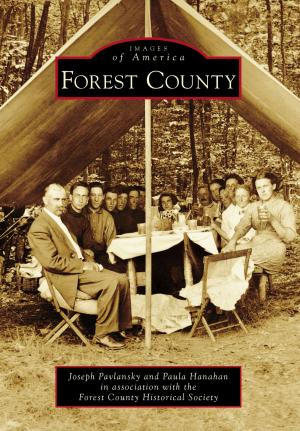 Cover of the book Forest County by Meghan Walla-Murphy