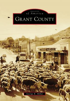 Cover of the book Grant County by Lewis Halprin, Barbara Sipler, Stow Historical Society