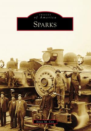 Cover of the book Sparks by Richard C. Saylor, Michael L. Sentz Jr.