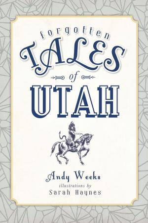 Cover of the book Forgotten Tales of Utah by Claudia Salewske
